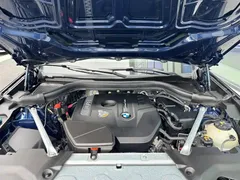 2021 BMW X3, синий — фото 13