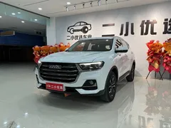 2021 Haval H6 Guochao 1.5GDIT AT Champion, белый — фото 2