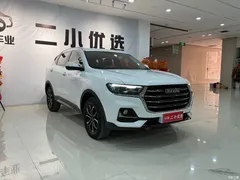 2021 Haval H6 Guochao 1.5GDIT AT Champion, белый — фото 3