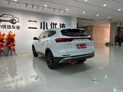 2021 Haval H6 Guochao 1.5GDIT AT Champion, белый — фото 7