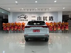 2021 Haval H6 Guochao 1.5GDIT AT Champion, белый — фото 8