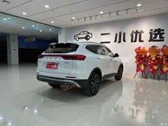 2021 Haval H6 Guochao 1.5GDIT AT Champion, белый — фото 9