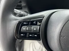 2023 Honda XR-V 1.5L CVT, белый — фото 13