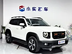 2022 Haval Havaldog 1.5T DCT 2WD Labrador, белый — фото 3