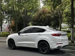 2021 Geely Tugella S 2.0TD DCT 2WD Lightning, белый — фото 5