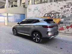2021 BYD PLUS DM-i 110KM — фото 6