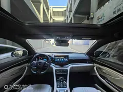 2021 BYD PLUS DM-i 110KM — фото 9