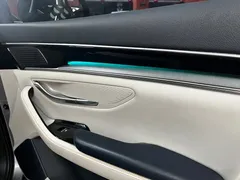 2021 BYD PLUS DM-i 110KM — фото 16