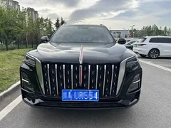 2023 Hongqi HS5 2.0T 4WD Pro50, чёрный — фото 2