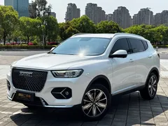 2021 Haval H6 1.5GDIT AT Champion, белый — фото 1