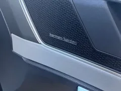 2023 Volkswagen Tayron X 380TSI 4WD Flagship Smart — фото 8