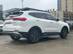 2021 Haval H6 1.5T AT Guochao Urban, белый — фото 7