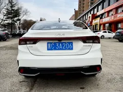 2023 Kia Cerato 1.5L CVT Luxury, белый — фото 5