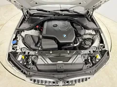 2024 BMW 3 Series 320Li M Sport Package, белый — фото 23