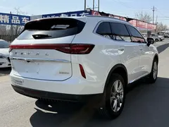 2021 Haval H6 1.5T AT 2WD Supreme, белый — фото 7