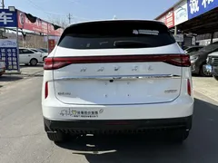 2021 Haval H6 1.5T AT 2WD Supreme, белый — фото 8
