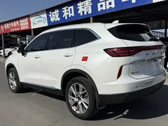 2021 Haval H6 1.5T AT 2WD Supreme, белый — фото 9