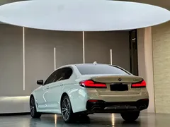 2022 BMW 5 Series 530Li Leading M Sport Package, белый — фото 10