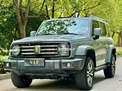 2023 Tank 300 City 2.0T Must Type — фото 1