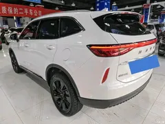 2021 Haval H6 Third Generation 2.0T AT 2WD Max, белый — фото 7