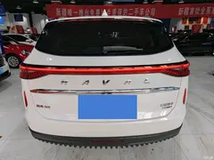 2021 Haval H6 Third Generation 2.0T AT 2WD Max, белый — фото 8