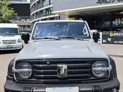 2024 Tank 300 2.0T Challenger — фото 2