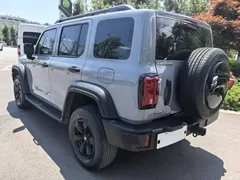 2024 Tank 300 2.0T Challenger — фото 7