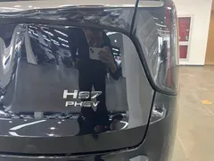 2024 Hongqi HS7 2.0T PHEV 4WD Qichang 6-seater, чёрный — фото 28