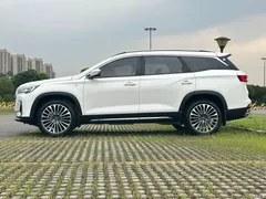 2023 Jetour Jietu X90 Zilong 2.0T DCT Changsheng 7 seats, белый — фото 23