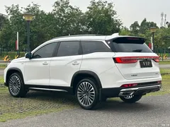 2023 Jetour Jietu X90 Zilong 2.0T DCT Changsheng 7 seats, белый — фото 30