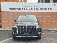 2024 Hongqi HS7 2.0T PHEV 4WD 6, чёрный — фото 2