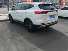 2023 Haval H6 1.5T AT Guochao Urban, белый — фото 7
