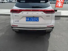 2023 Haval H6 1.5T AT Guochao Urban, белый — фото 8