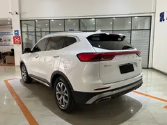 2021 Haval H6 1.5T AT, белый — фото 6