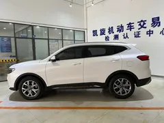 2021 Haval H6 1.5T AT, белый — фото 7