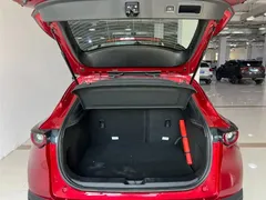 2021 Mazda CX-30 2.0L AT — фото 19