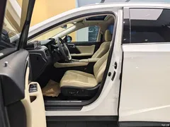2020 Lexus RX 300 2WD Elite National VI, белый — фото 13