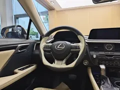 2020 Lexus RX 300 2WD Elite National VI, белый — фото 15
