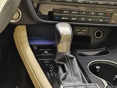 2020 Lexus RX 300 2WD Elite National VI, белый — фото 19