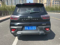 2019 Kia Zhipao 2.0L AT Zhixiang Luxury, чёрный — фото 8