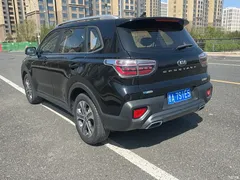 2019 Kia Zhipao 2.0L AT Zhixiang Luxury, чёрный — фото 9