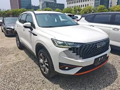 2021 Haval H6 Sport 1.5T AT Premium Smart Connect, белый — фото 22