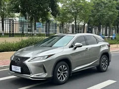 2020 Lexus RX 300 2WD Elite VI — фото 1