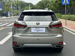 2020 Lexus RX 300 2WD Elite VI — фото 5