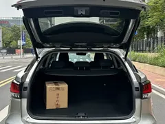 2020 Lexus RX 300 2WD Elite VI — фото 7