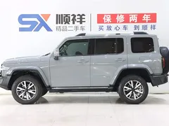 2021 Tank 300 City 2.0T Very Stylish — фото 6