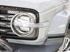 2021 Tank 300 City 2.0T Very Stylish — фото 7