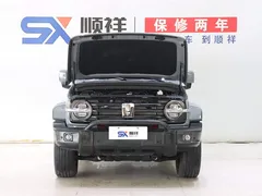 2021 Tank 300 City 2.0T Very Stylish — фото 18