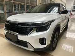 2023 Kia Seltos 1.5L CVT Luxury, белый — фото 1