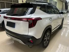 2023 Kia Seltos 1.5L CVT Luxury, белый — фото 4